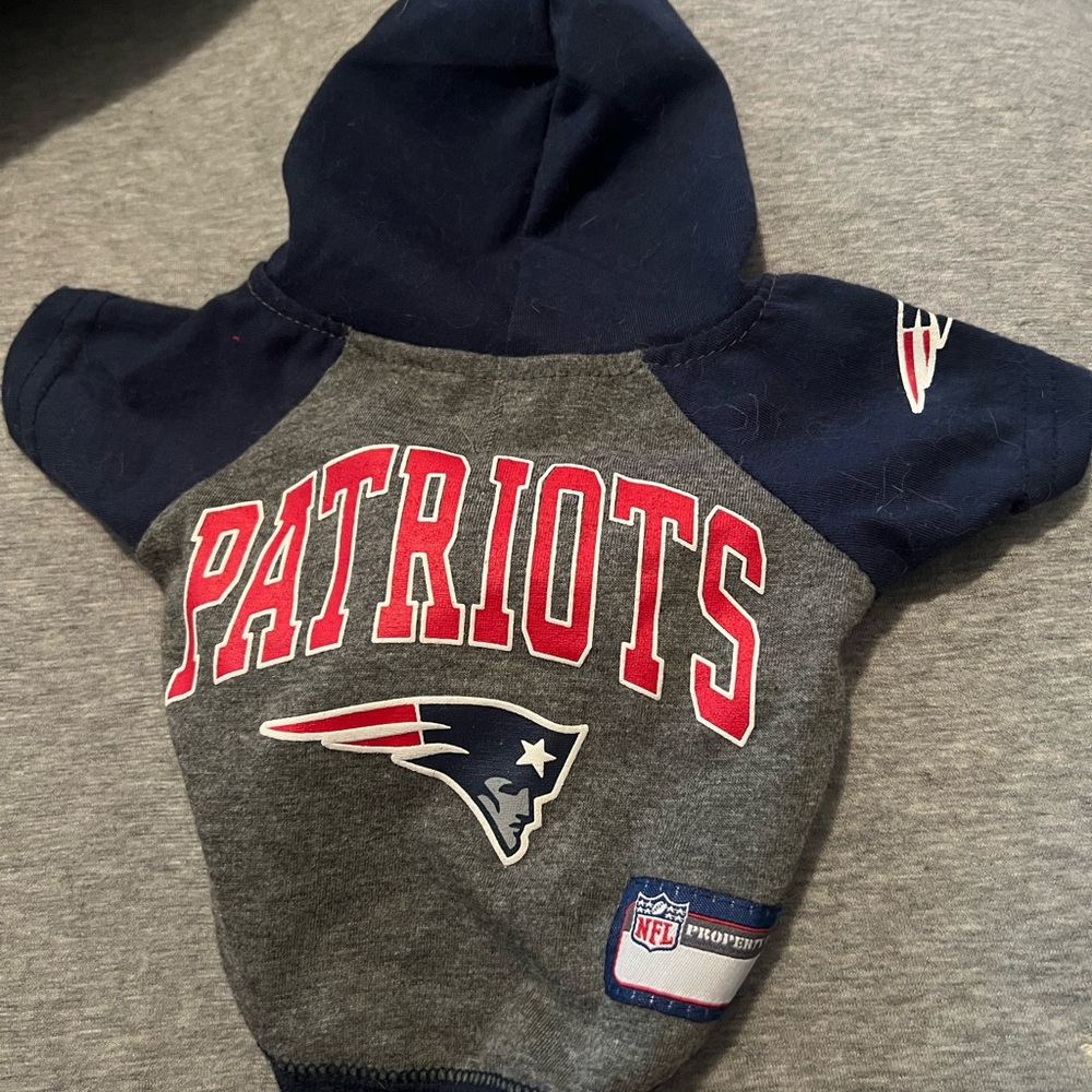Patriots cat hoodie